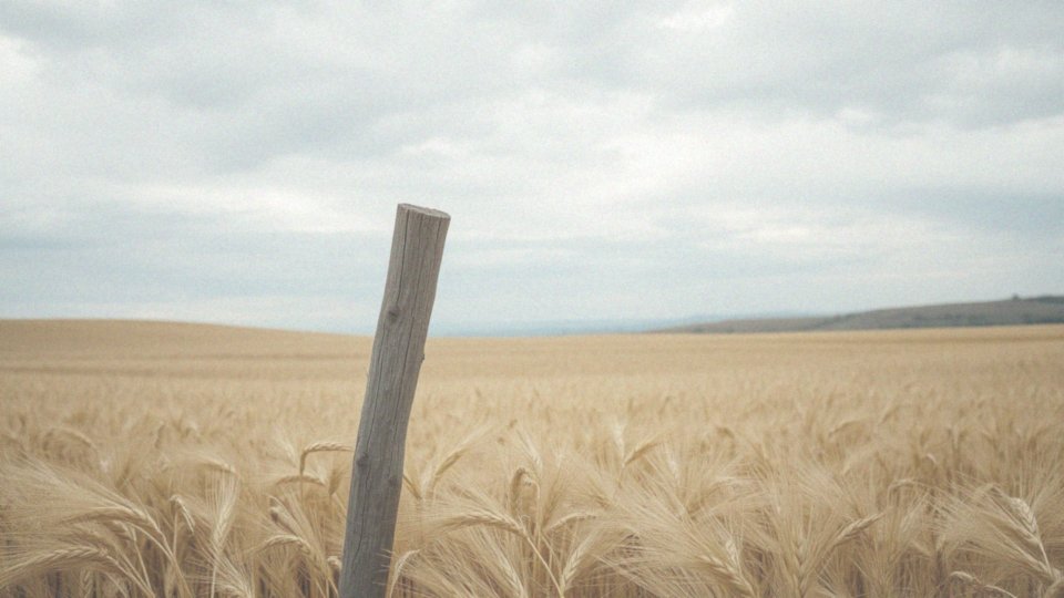 Co oznacza być osobą w żywiole Powietrza?