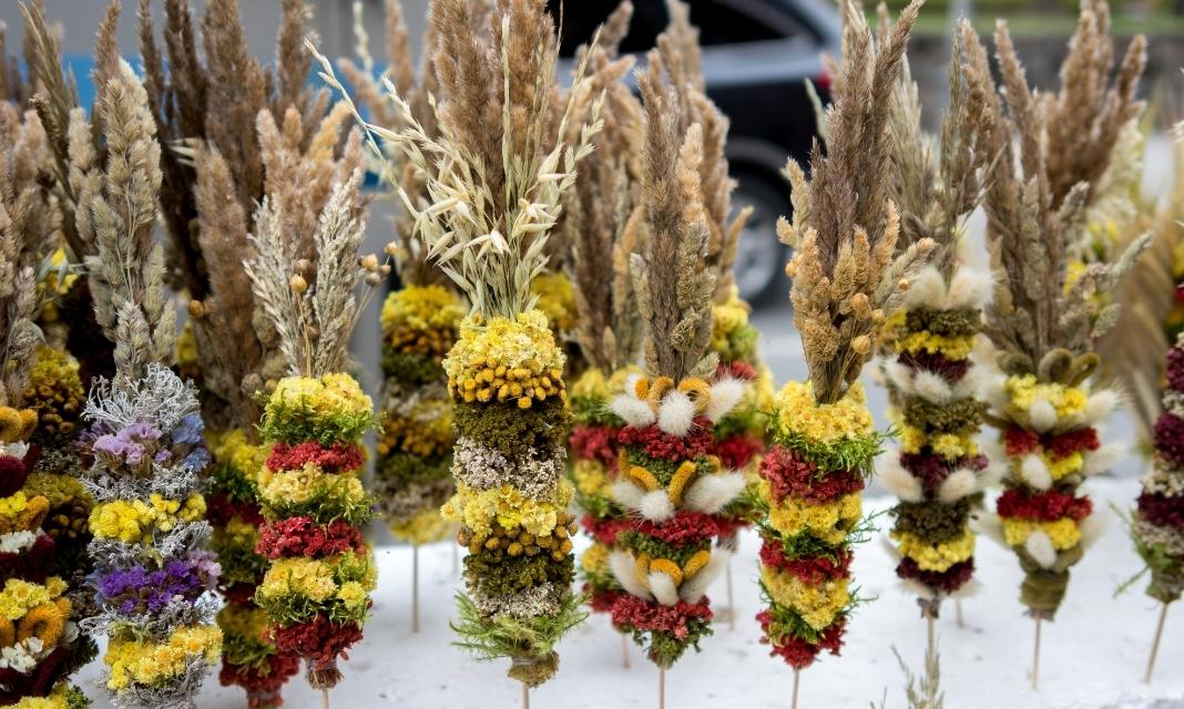 Niedziela Palmowa w Goleszowie – Tradycja i radość