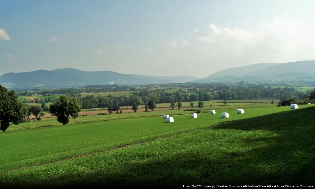 Informacje o pracy Urzędu Gminy w Goleszowie w okresie świąteczno-noworocznym